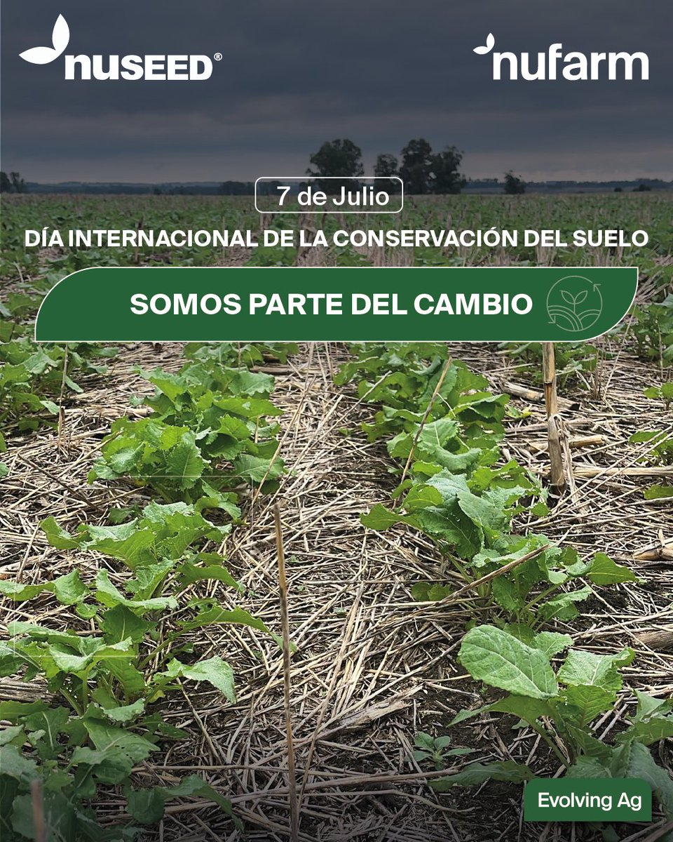 7 de Julio - Día internacional de la conservación del suelo 
🌱Donde cuidamos el suelo, florece el futuro🌱