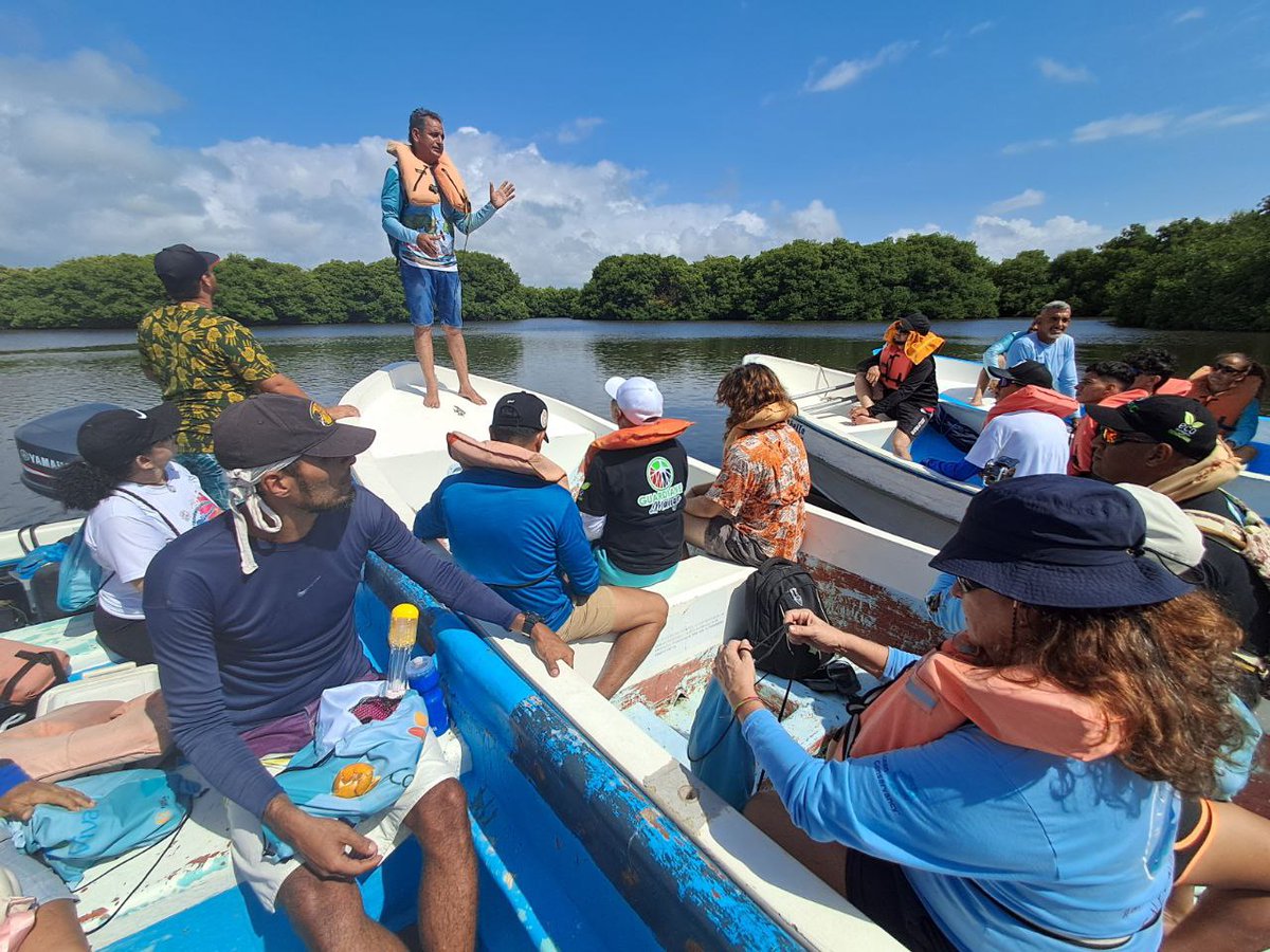 🦩🧴 |  Conoce la historia de Esther y del Proyecto Costa Viva, uno de los nuevos programas de Fundación Tierra Viva - junto a <a href="/FUDENA/">Fudena</a>  y <a href="/TrabajoyPersona/">Trabajo y Persona</a> - para preservar los ecosistemas marino costeros de Venezuela. 
tierraviva.org/costa-viva-acc…