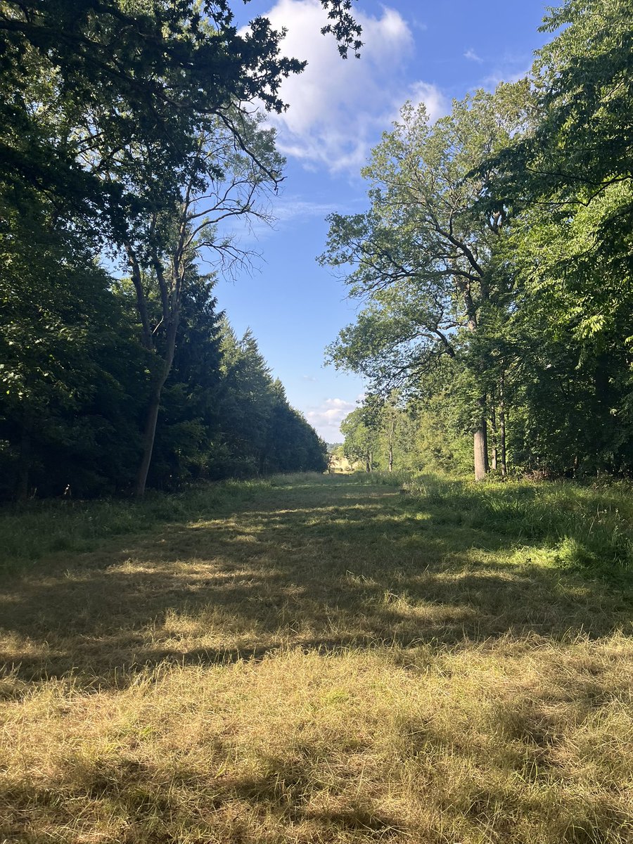 So all students fed and watered! Burger, corn on the cob followed by S'mores!!!

Washing up then PJ's on and starting to get ready for bed!!!

A well deserved sleep for all!!!