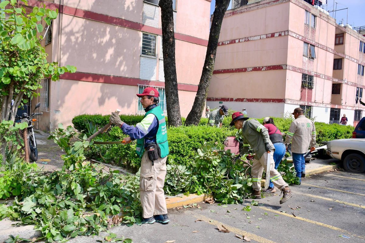 NancyNunezmx's tweet photo. 🌿 Esta mañana acompañamos la jornada de Bienestar en tu Calle en la Unidad Habitacional #Pantaco, una de las zonas que forma parte de nuestras prioridades en el territorio.
🧹 Estuvimos supervisando los trabajos de limpieza, 🌳 poda, 💡 atención a luminarias y recuperación de áreas comunes, pero sobre todo, escuchando a las y los vecinos 👂🏽 para conocer sus inquietudes y coordinar soluciones desde lo local.
🚶🏽♀️ Estoy convencida de que gobernar también es estar en la calle, caminar con la gente y trabajar de la mano con quienes habitan este territorio.
❤️ Porque en Azcapotzalco, el bienestar se construye con cercanía, con escucha y con resultados.
#BienestarParaElPueblo