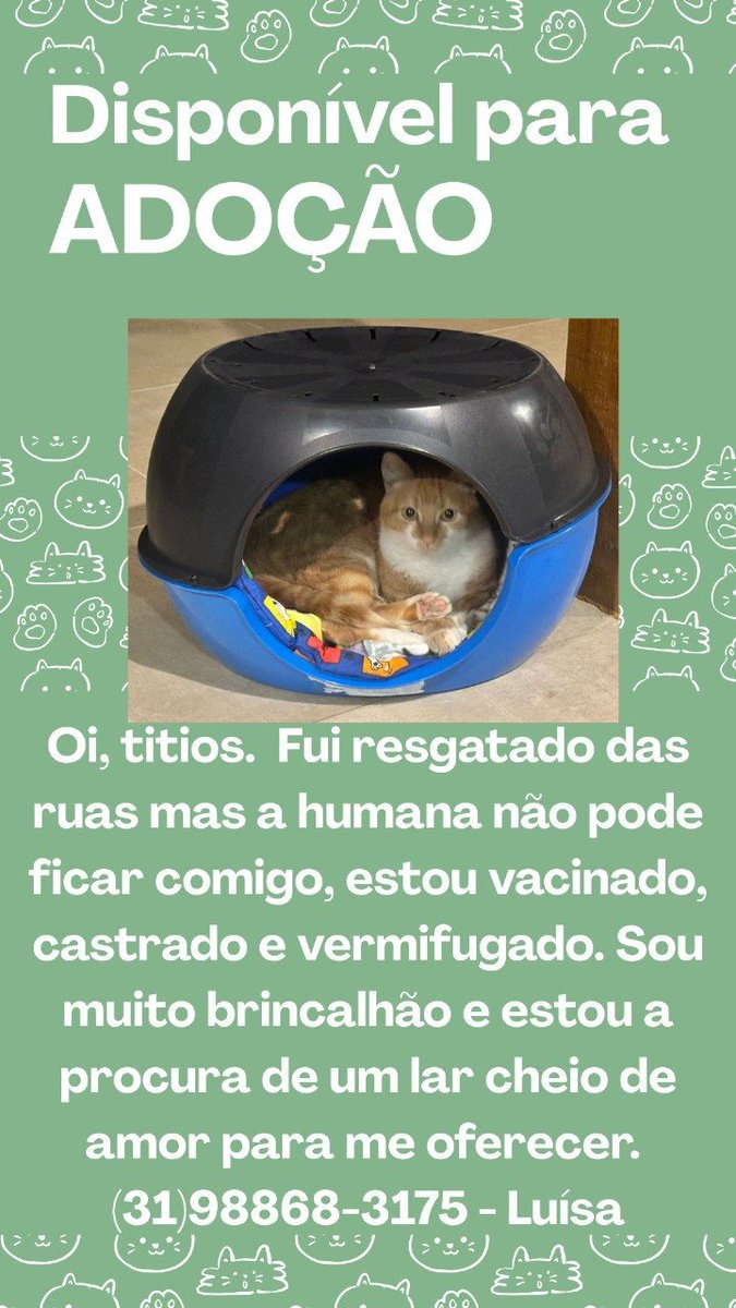 venicio del toro (@viniciuscu) on Twitter photo 