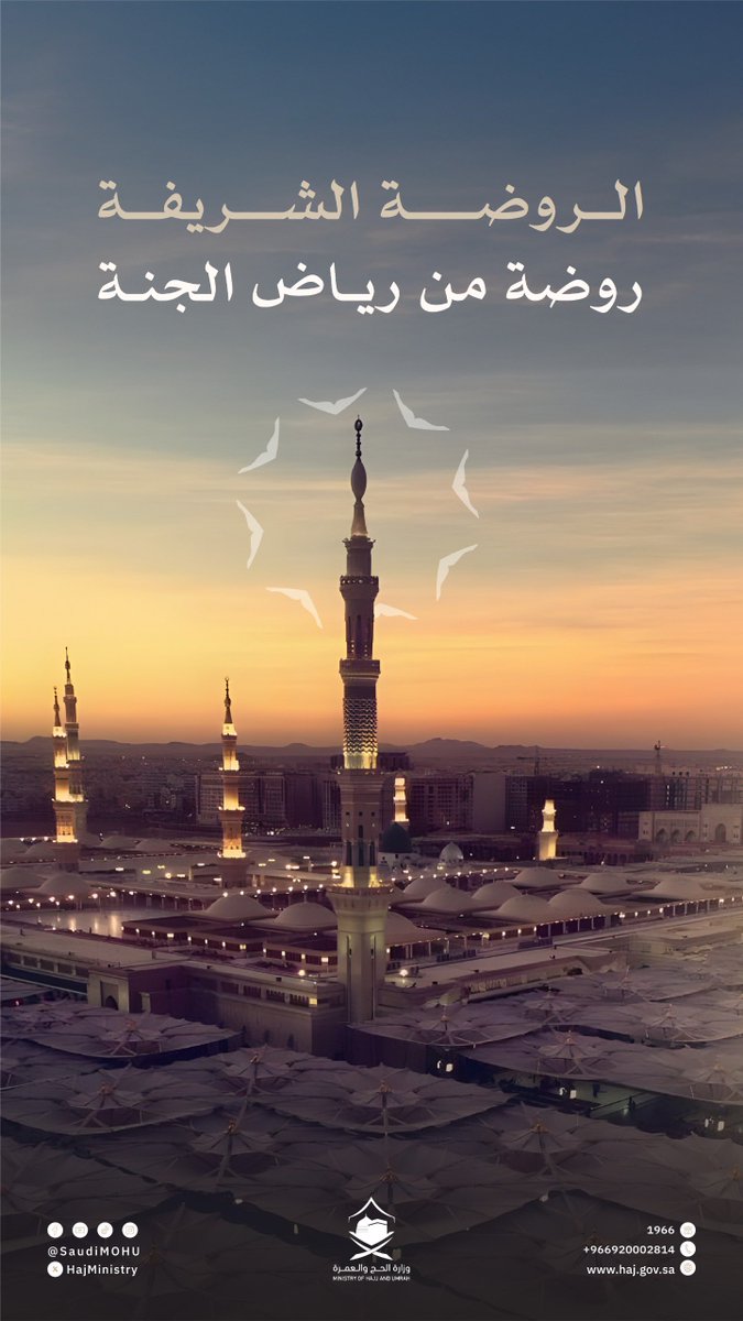 في الروضة الشريفة سكينةٌ تُغنيك عن كل صخب، وتُقربك ممّا تتوق إليه روحك
