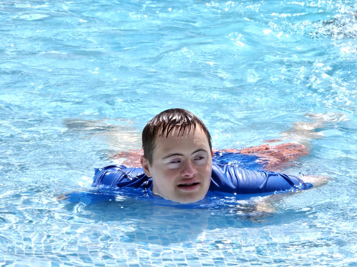 Stepping Stones DS tweet media