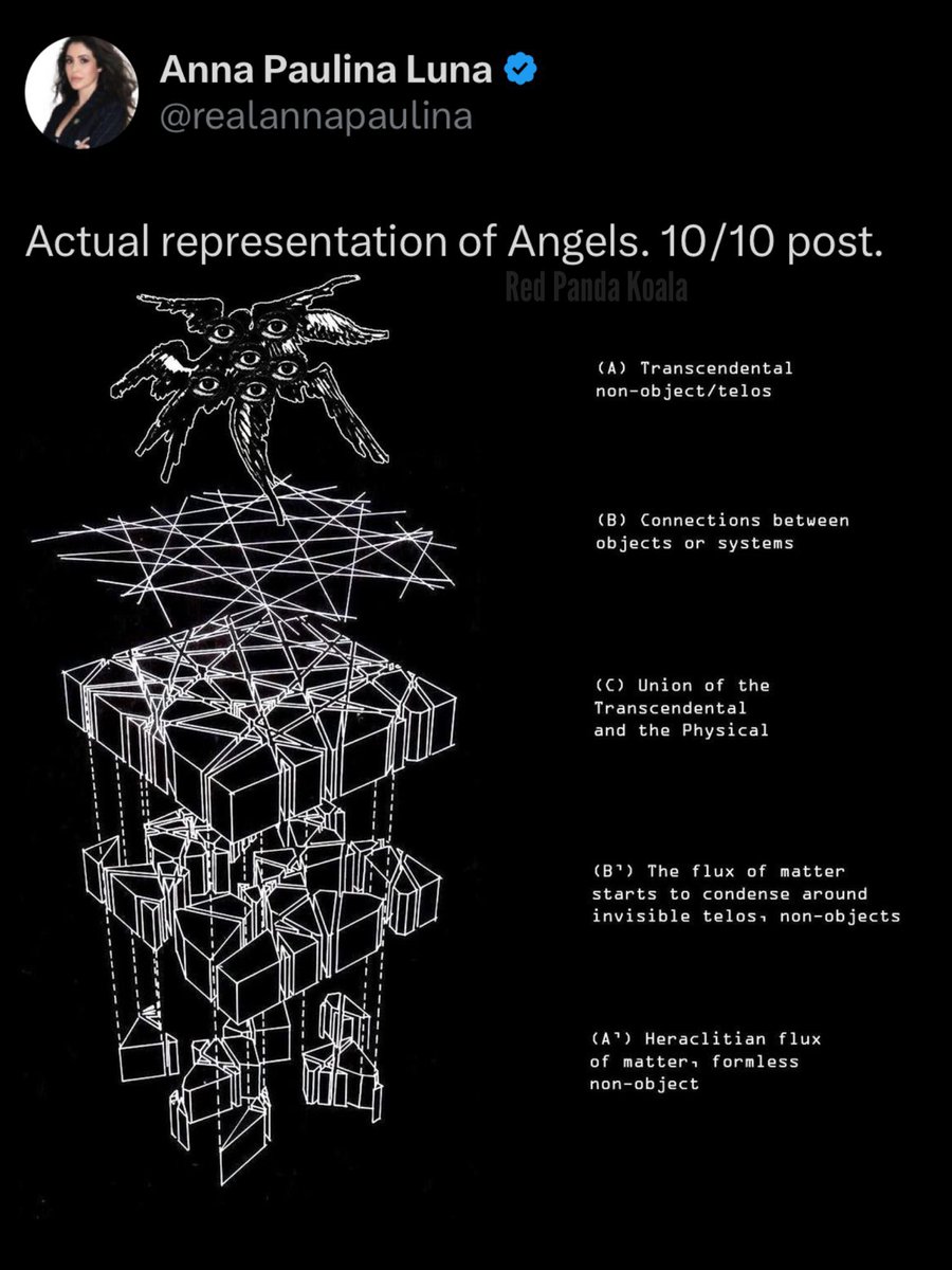 dom_lucre's tweet image. 🔥🚨BREAKING NEWS: Leading UFO congresswoman Anna Paulina Luna uploaded ‘actual representation of angels.