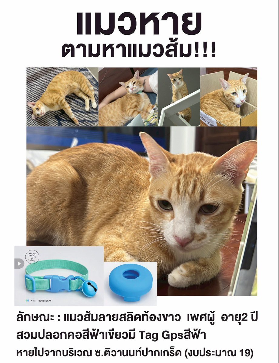 ไส้กรอก Boo!👻 tweet media
