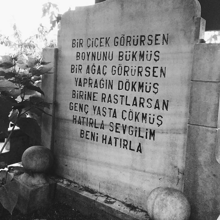 Vak'a-nüvis (@vakanuvistc) on Twitter photo 