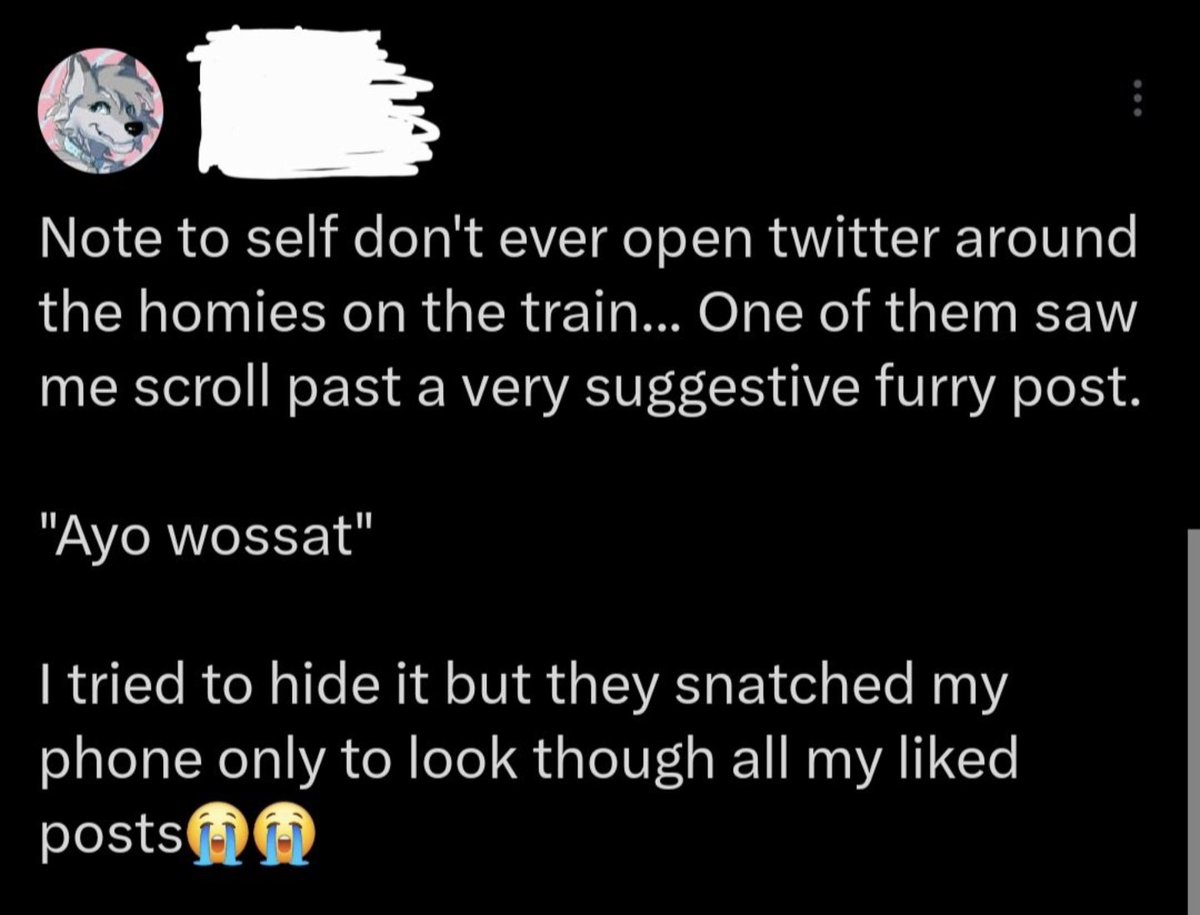 Unbiased Furry Struggles (@sanefurrystrug) on Twitter photo 