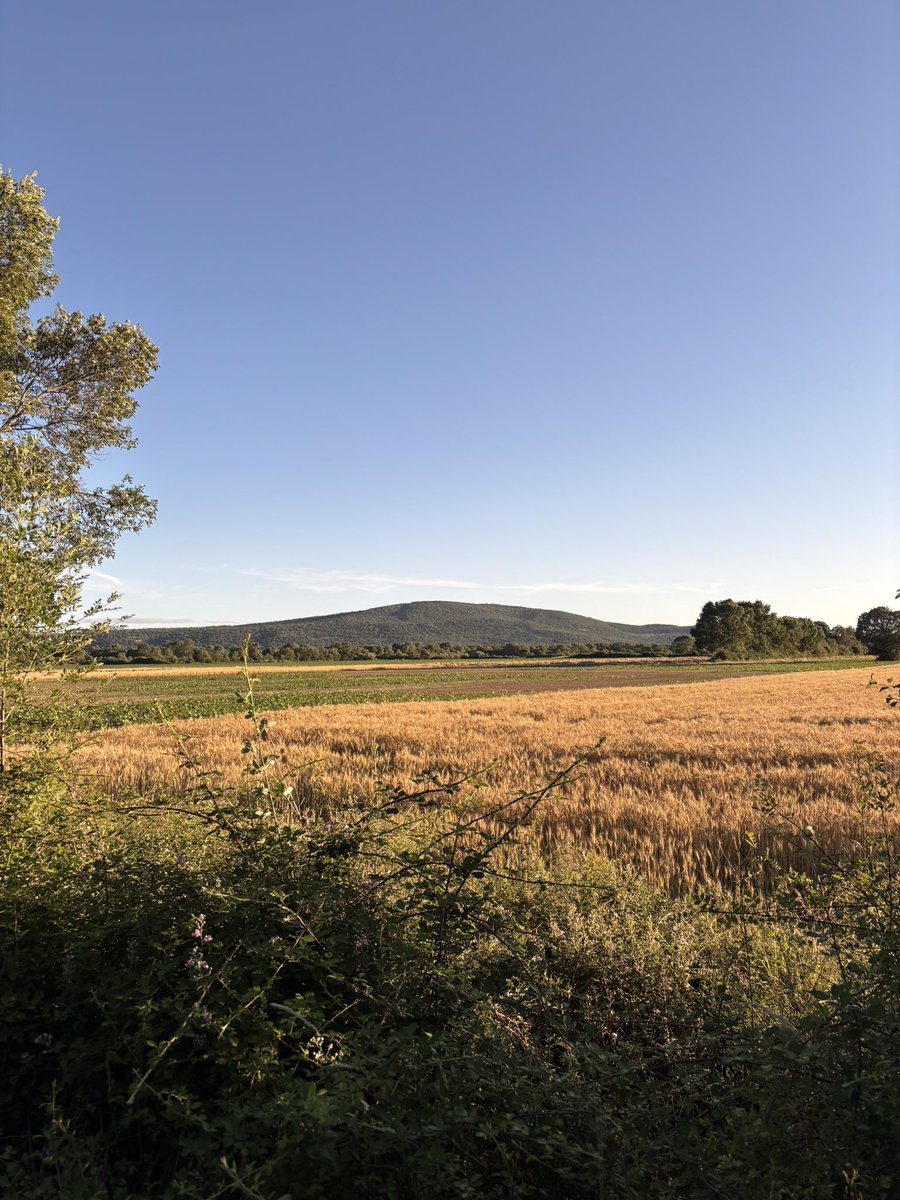 beatrizzd01's tweet photo. castilla en julio 🌾🌺🌳🦋🌞 https://t.co/SmuHQoDE0w