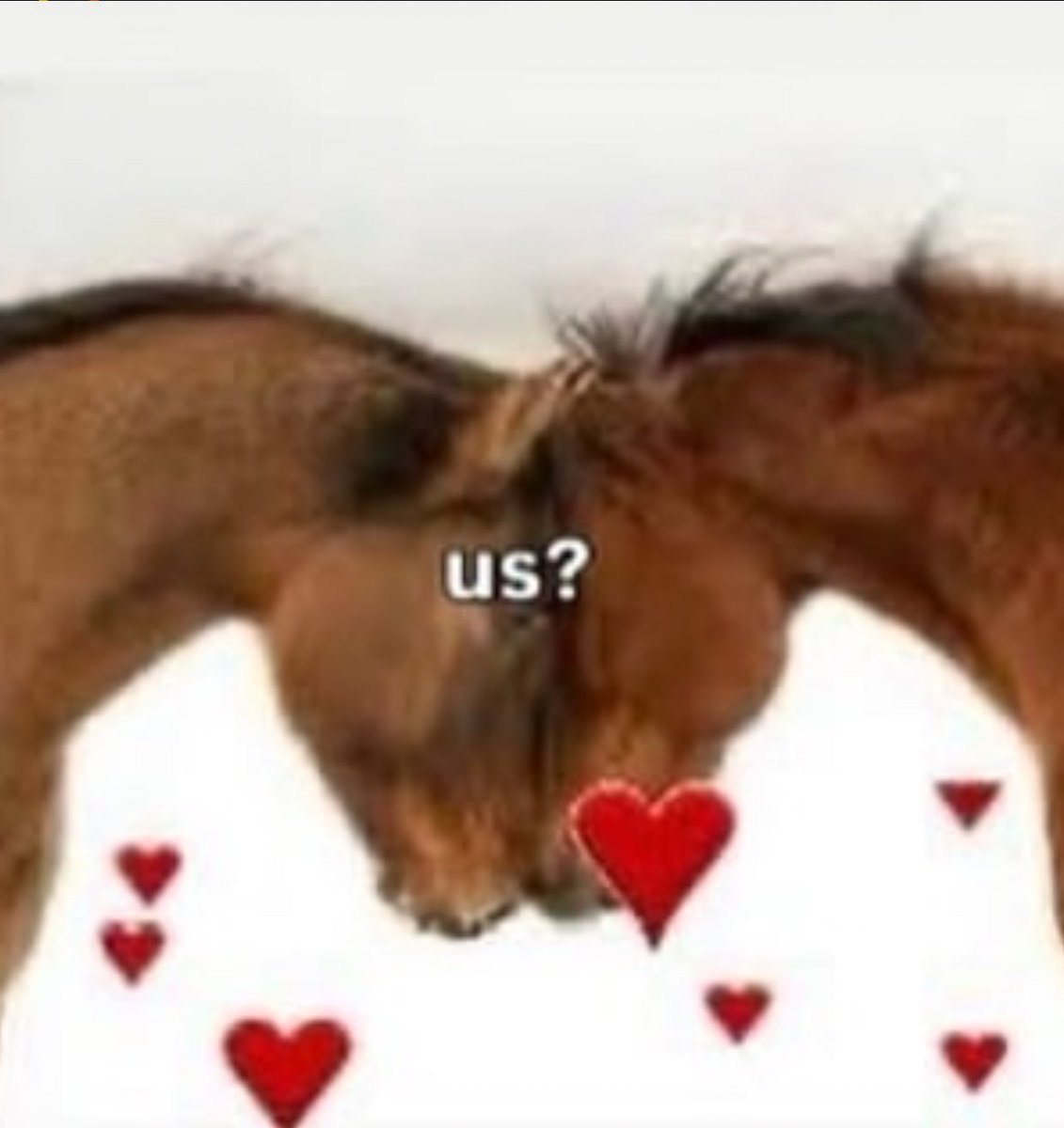 Me & Who? (@tagyourwho) on Twitter photo 