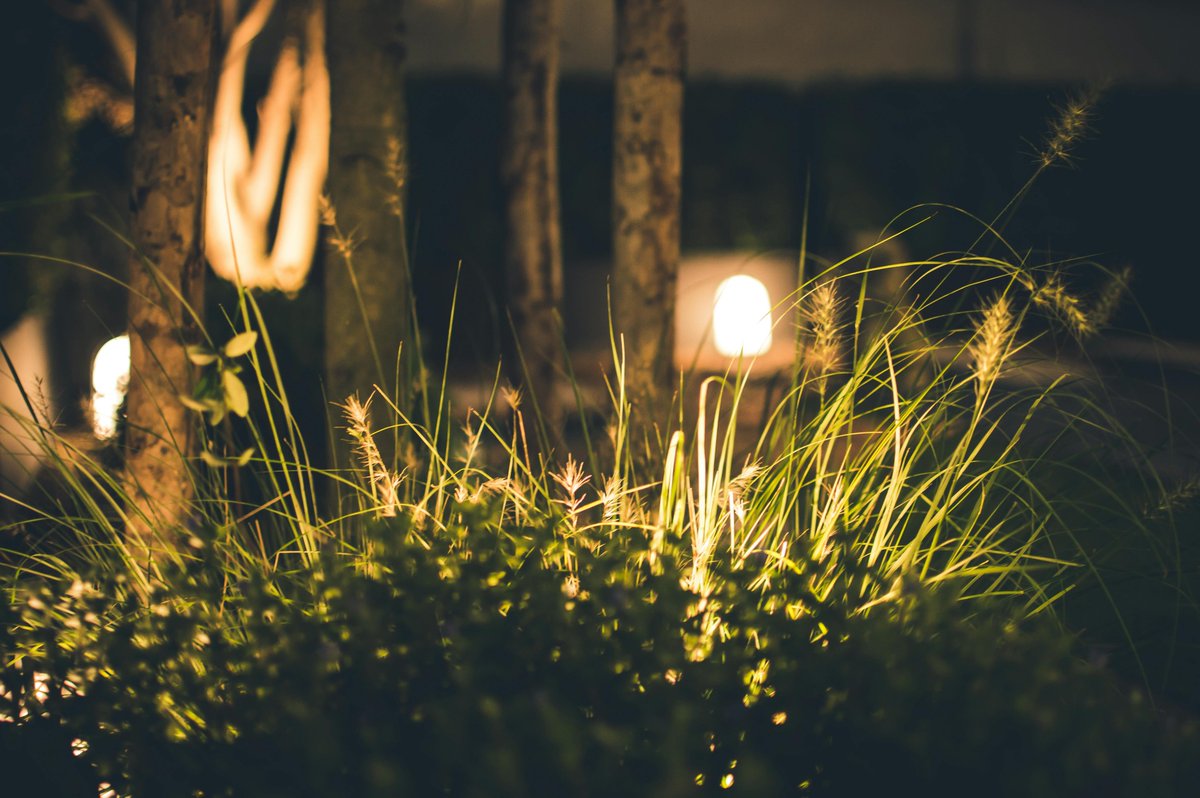 aaabarginusa's tweet photo. Guide your grind. 💡🌿
Tough, stylish garden path lights that light up your mancave entrance.
👉 https://t.co/FhGQU5qIKG
#OutdoorGear #PathLights #YardVibes #MancaveReady #AAABarginsUS https://t.co/ZWYjpkRIHT