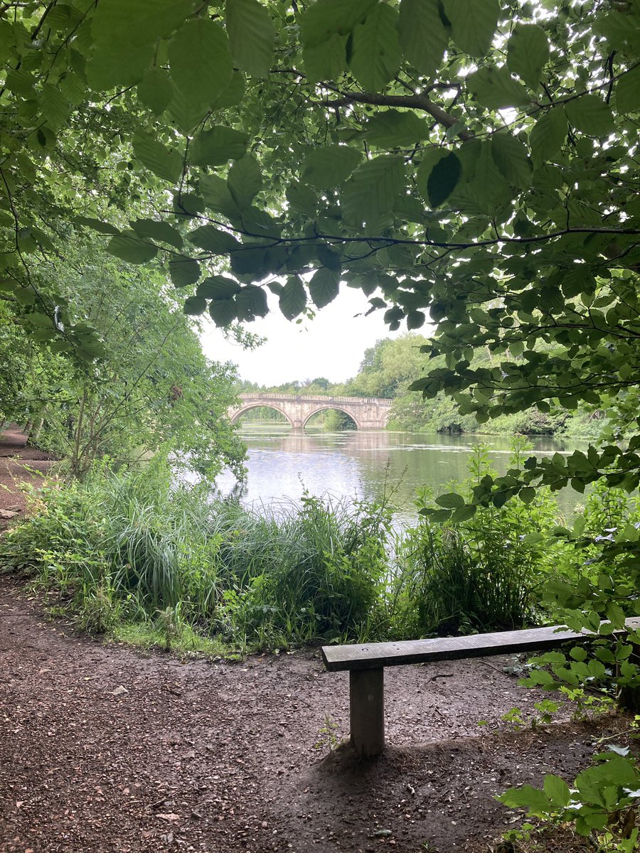 lm_orton's tweet photo. @NTClumberPark a lovely morning walk in my favourite place ☺️ and a little pebble friend found on a bench 😜 https://t.co/PMESQJpR4f