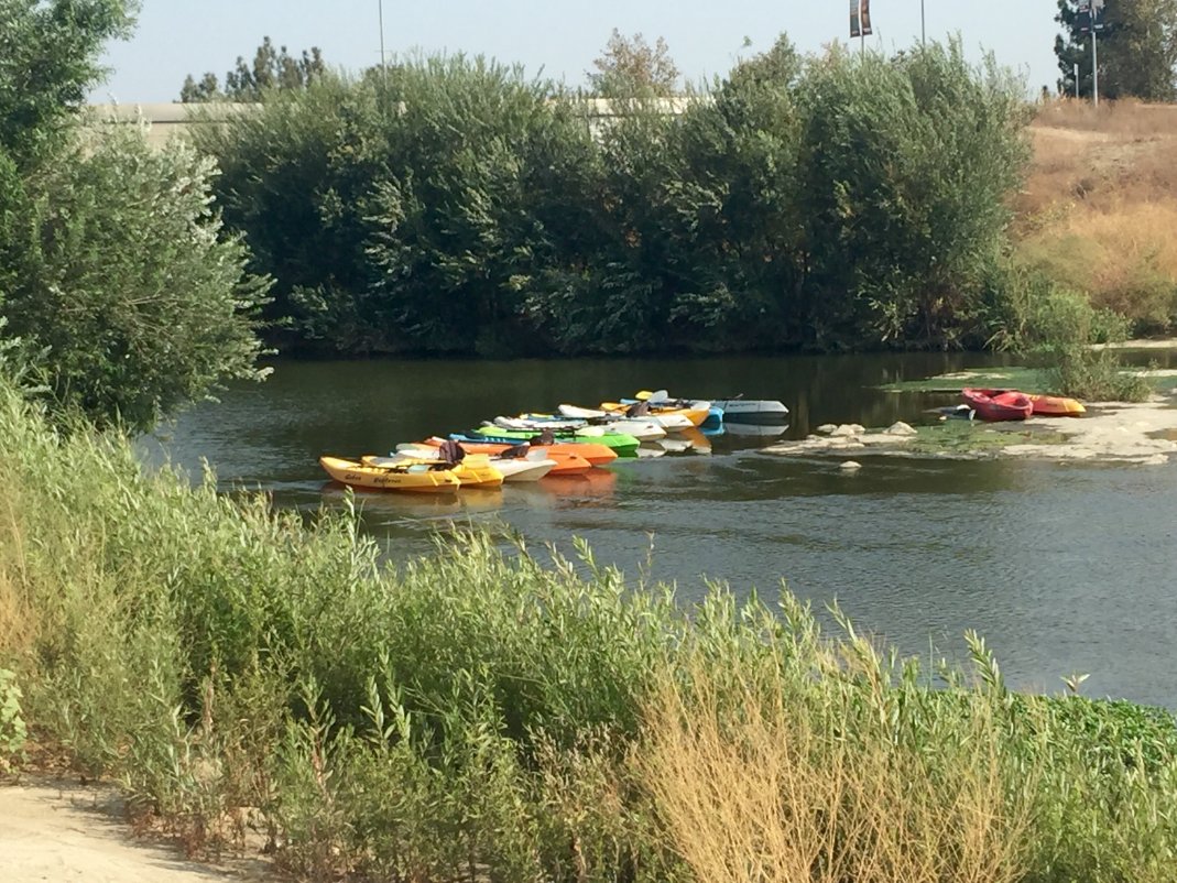 One of LA's best-kept #summer secrets is #kayaking on the #LARiver. Have you been to the Elysian Valley or Sepulveda Recreation Zones? It's an incredible way to see all the wildlife in the river while getting some exercise &amp; sunshine.

Before you go, be sure to check out