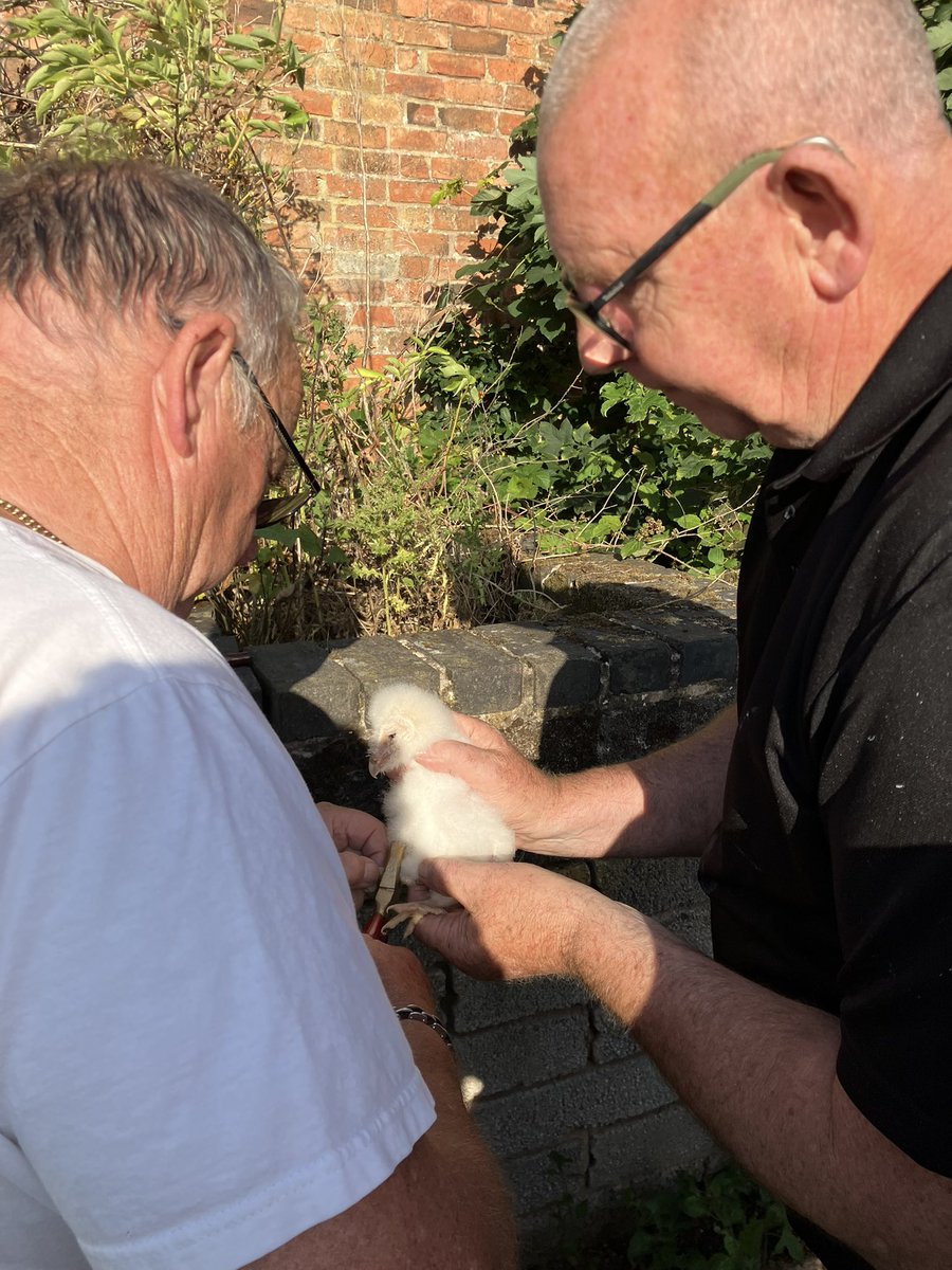 Paul Riddle tweet media