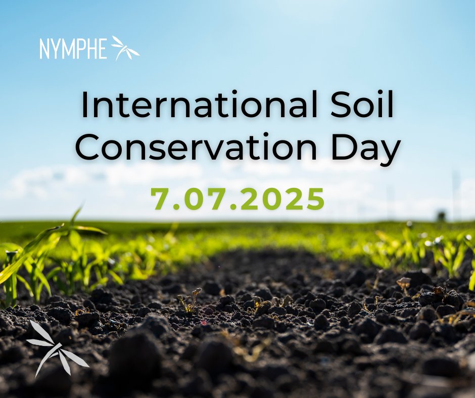 NYMPHE (@nympheproject) on Twitter photo July 7 | International Soil Conservation Day 🍀
Today is the perfect moment to recognise soil not just as the ground beneath our feet, but as a living, breathing system essential to life on Earth.
📷 Read more on our blog: 
nympheproject.eu/post/internati… July 7 | International Soil Conservation Day 🍀
Today is the perfect moment to recognise soil not just as the ground beneath our feet, but as a living, breathing system essential to life on Earth.
📷 Read more on our blog: 
nympheproject.eu/post/internati…