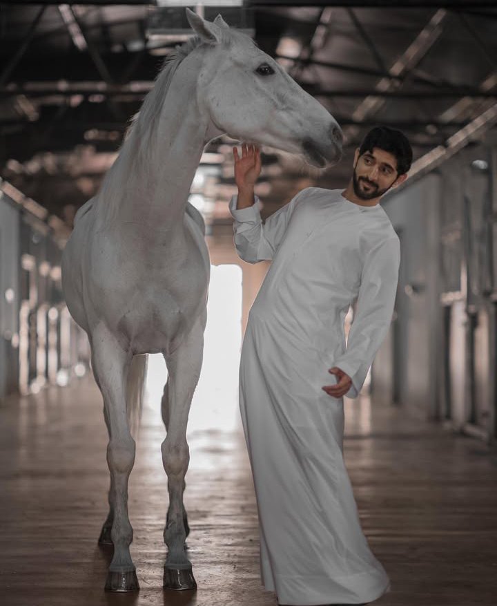 Bin_Hamdann2's tweet image. 