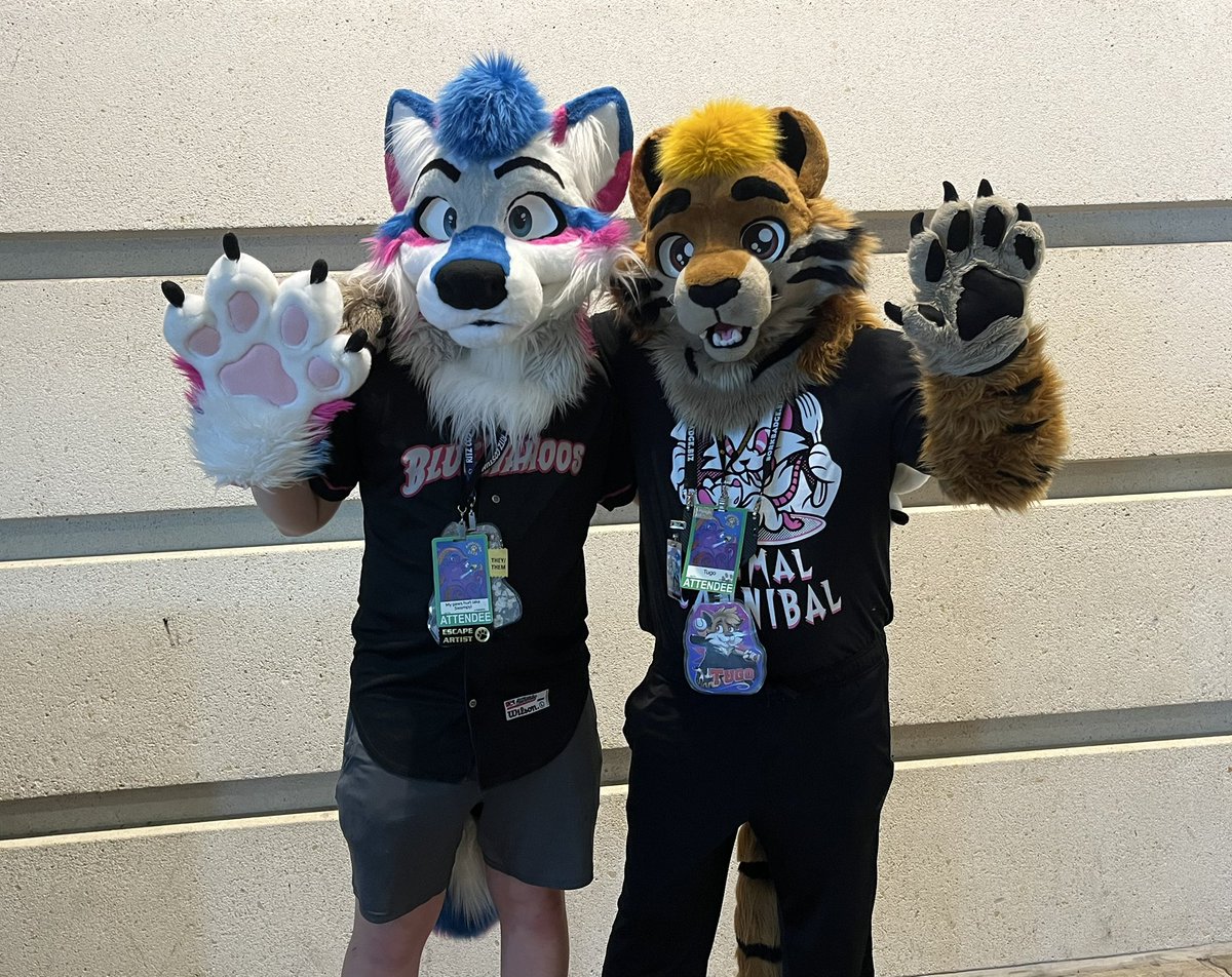 tugotiger's tweet image. Finally met the awesome @SwampyWampy this Anthrocon! What an icon you are