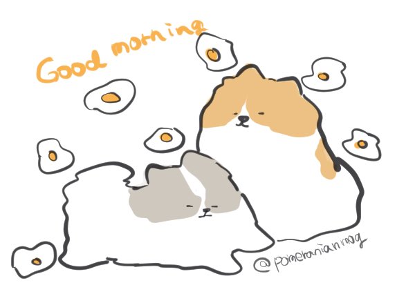 pomeranianmog's tweet image. おはようございます🥟