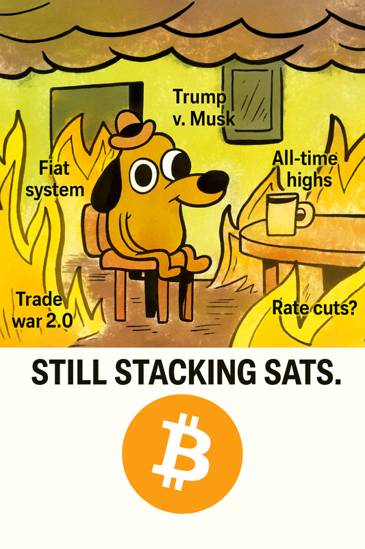 alpha_purpose's tweet image. Elon launched a party, Trump’s rage-tweeting, the market’s on a sugar high, and economists are speaking in riddles.

Meanwhile, Bitcoin be like:

“I’ll just wait right here while y’all finish speedrunning the downfall of fiat.