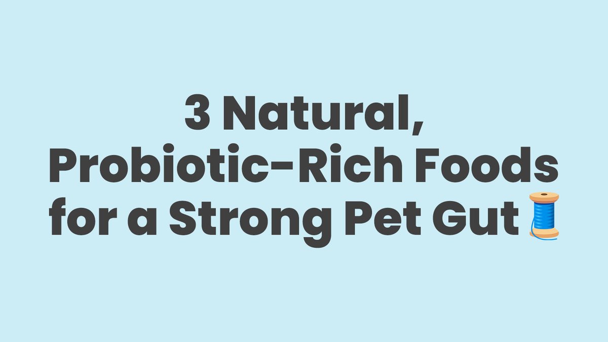 Here are 3 safe, probiotic-rich foods that can help support a healthy gut microbiome.

A thread 🧵:
