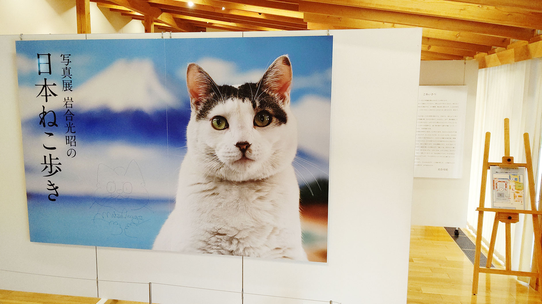 写真展「岩合光昭の日本ねこ歩き」 (@nihonnekoaruki) / X