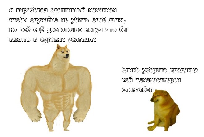 <a href="/itan_tennenbaum/">Ethan Tennenbaum</a>