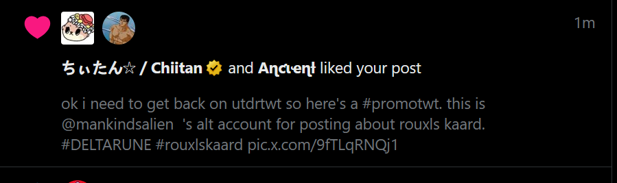 dog i have 28 followers how did you see this