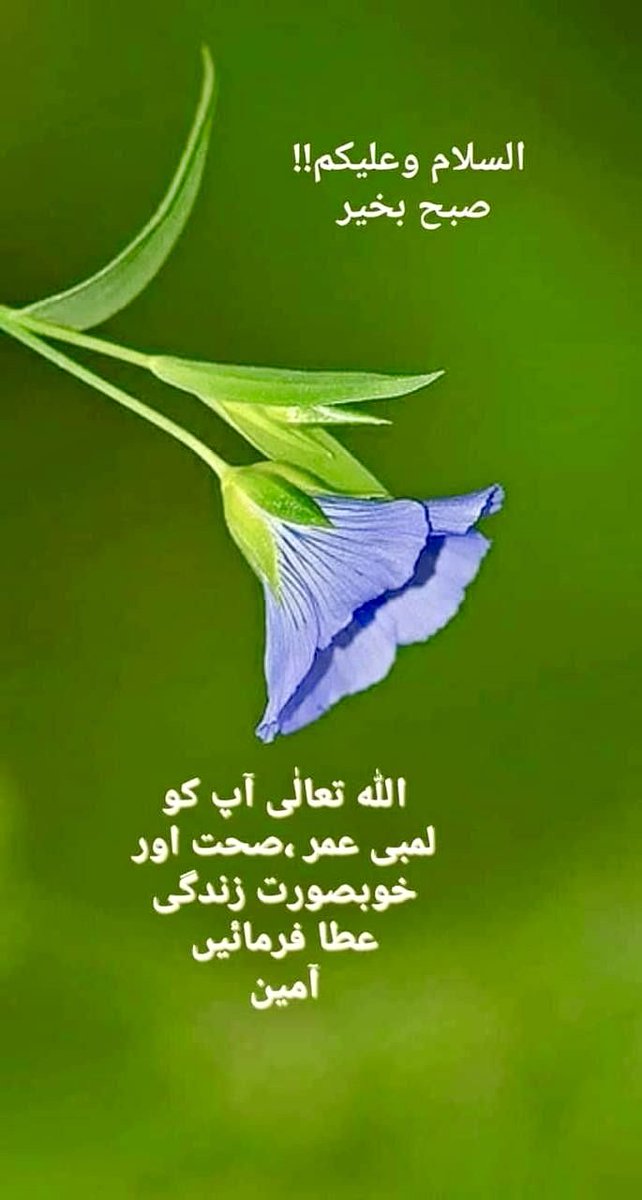 Shafqat Pasand tweet media