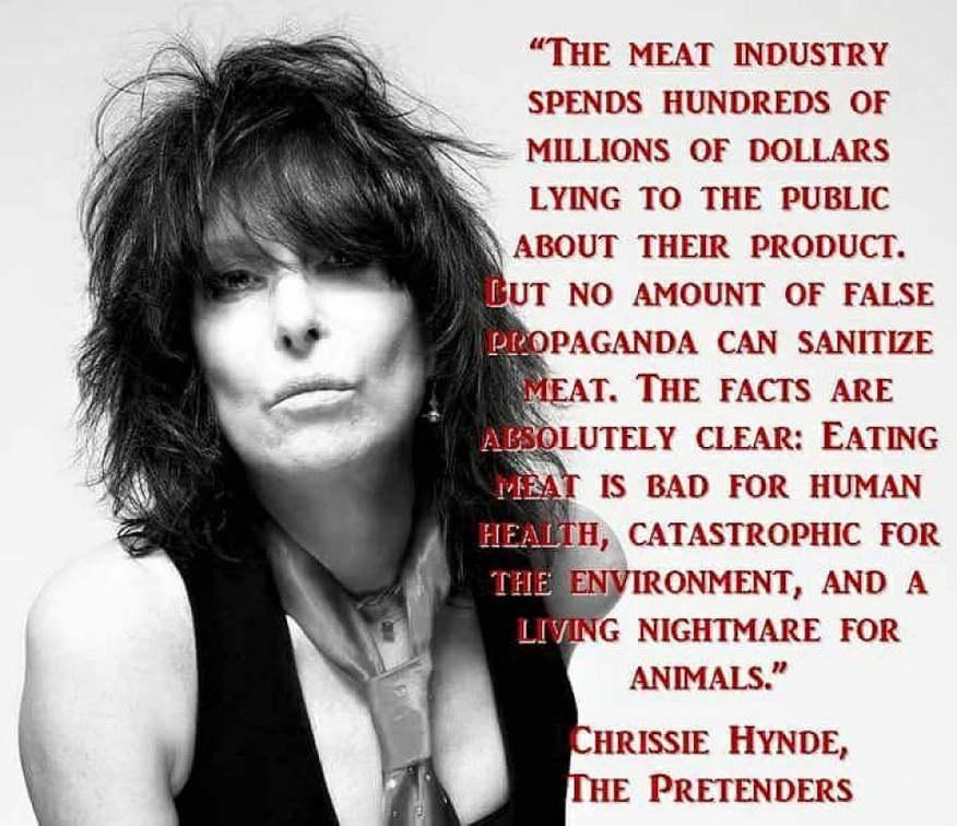 veganfuture's tweet image. 