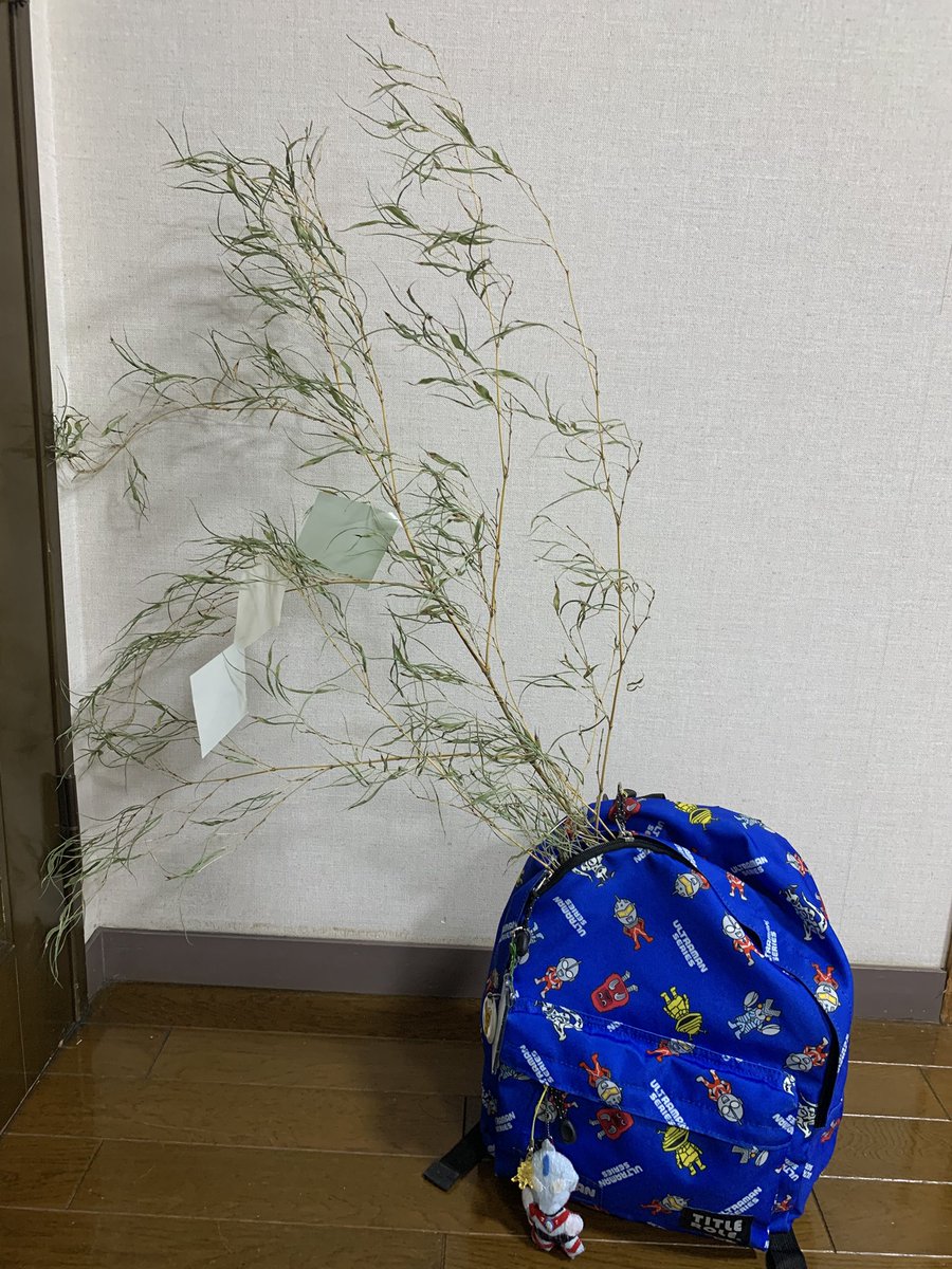 昨日の七夕、保育園から笹ごと持ち帰ってきたんだが…（というかリュックにブッ刺さってたんだがw）

島の七夕、パンチきいてた。