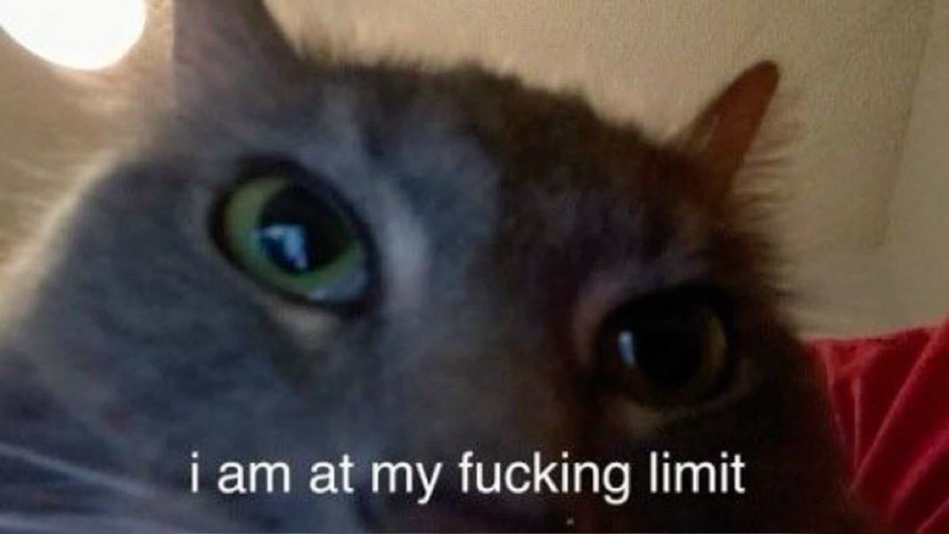 fern_papi's tweet image. Can’t believe I’m expected to just clock in like there aren’t whimsical adventures to be had instead