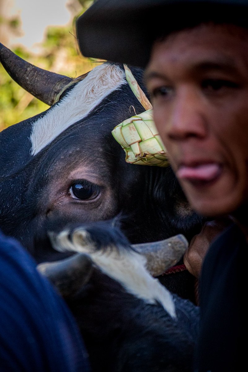 Mata jendela hati

📍Mlambong, Boyolali 

#streetphotography 
#streetphoto 
#documentaryphotography 
#Documentary