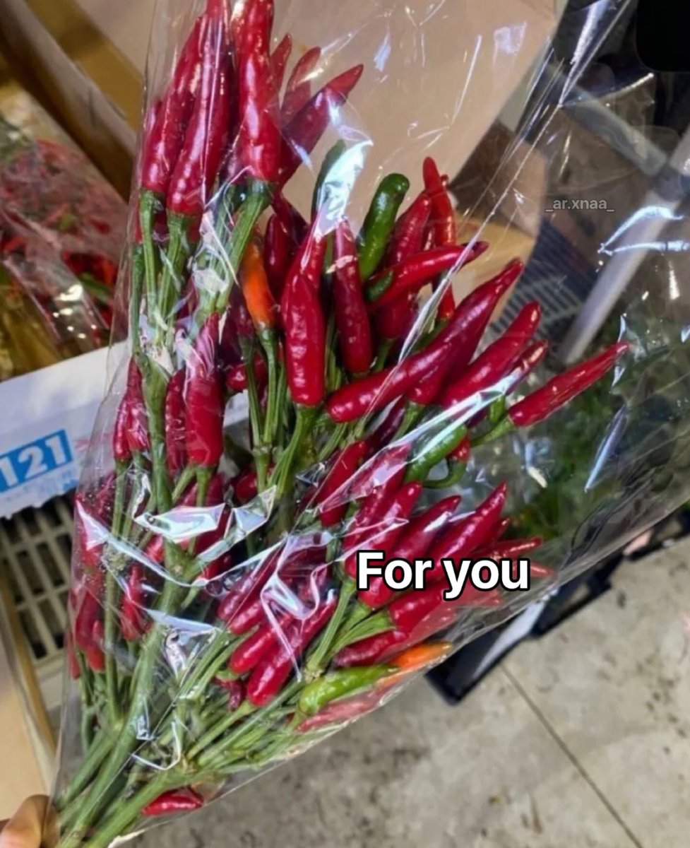 NO CONTEXT HUMANS (@humansnocontext) on Twitter photo 