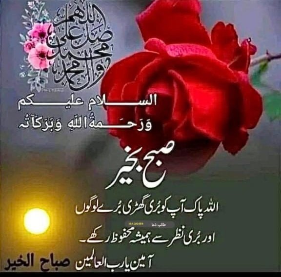 🌹السلام علیکم و رحمۃ اللہ و برکاتہ 
🌹صبح بخیر...!!! 

*اے اللہ!*
ہمارے دلوں کو سکون عطا فرما، ہمارے رزق میں برکت دے، اور ہمیں ہر آزمائش میں صبر اور استقامت نصیب فرما۔
*آمین، یا ربّ العالمین!* 🤲 ❤️