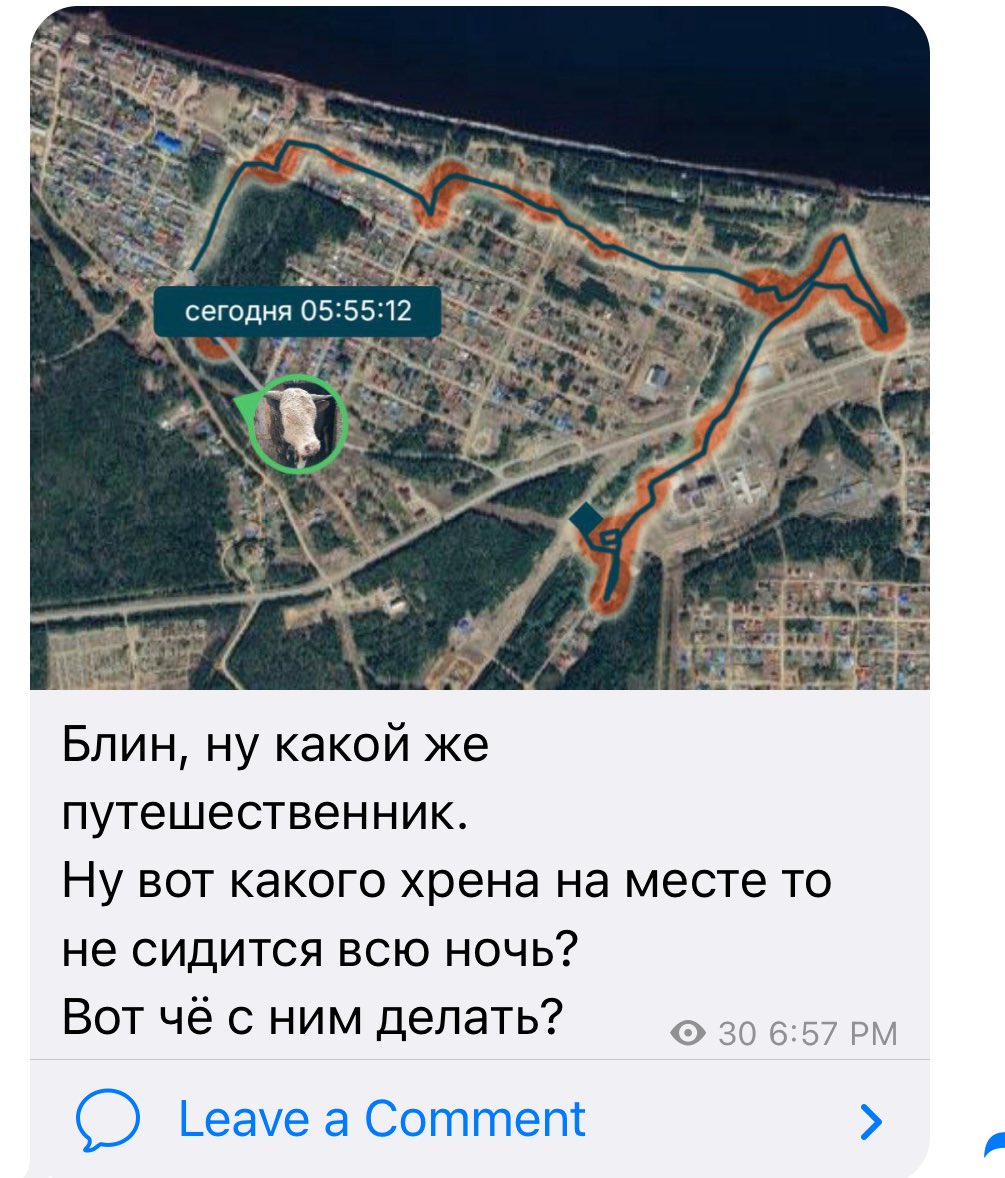 Так, хейтеры-завистники, общий сбор! Давайте подскажем Володе, «чё делать» с Максюшкой таким удивительным, который с 28 июня дома не появлялся?