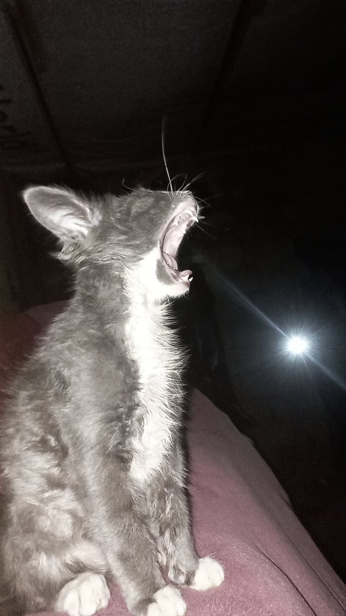 🥲🥲❤️‍🩹💔⛔Oh God, Most Merciful, have mercy on us. I don’t know what to say and I don’t know what to do. Screaming is the best way to deal with injustice.