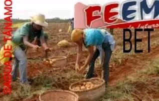 roberto287841's tweet photo. Con #HonorHolguinero iniciaron el #SaguaDeTánamo los actividades de las #FAFI y las #BET con iniciativas y variadas actividades productivas de impacto económico y social en las las instituciones educativas y comunidades.
#VeranoSiempreJoven
#PorCubaProductivosYEicientes https://t.co/9KYTjVK4x9