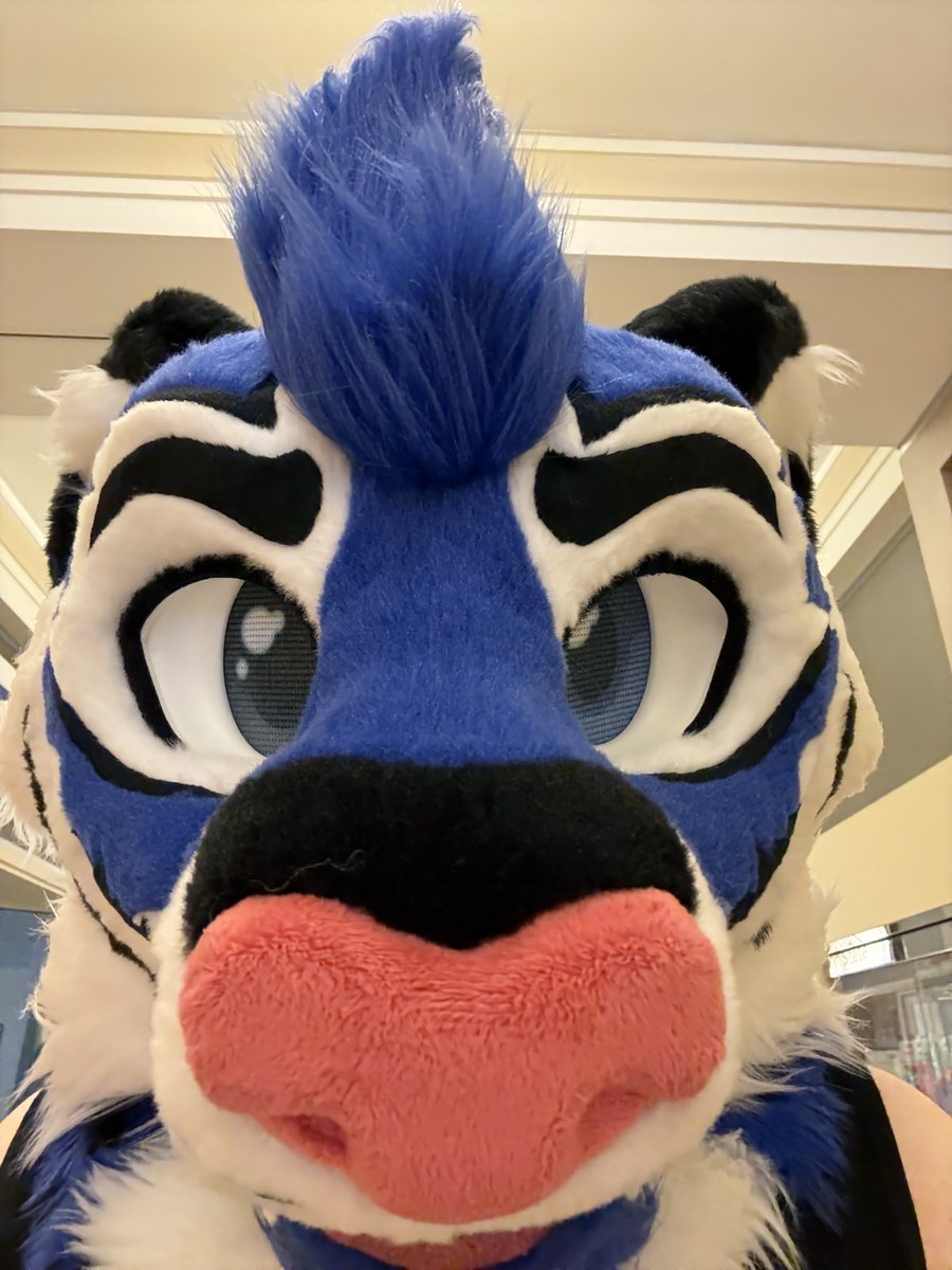 My AC experience was chill and good. Thank you for those who approaching and chatting with me. It was great to see you all 😘

Next con: MFF 👀
