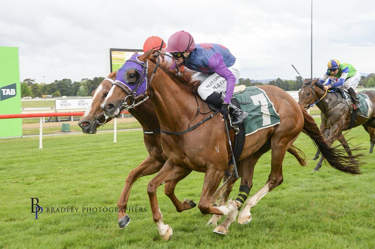 🟣 RUNNER UPDATE 🟣

SAPPHIRES SON steps out at home today in the 1400m Country Boosted BM58 (R5) at Goulburn.

Only 3L off them here last start over the same trip on soft ground and carries the same light weight with Dale Cole’s 4kg claim. His last win came on Heavy and he