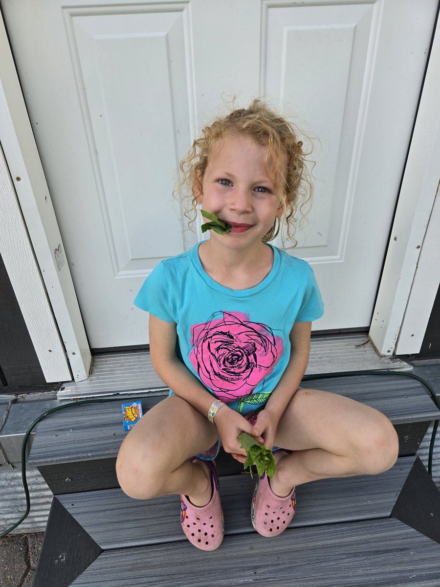 Official Garden Letttuce taste tester