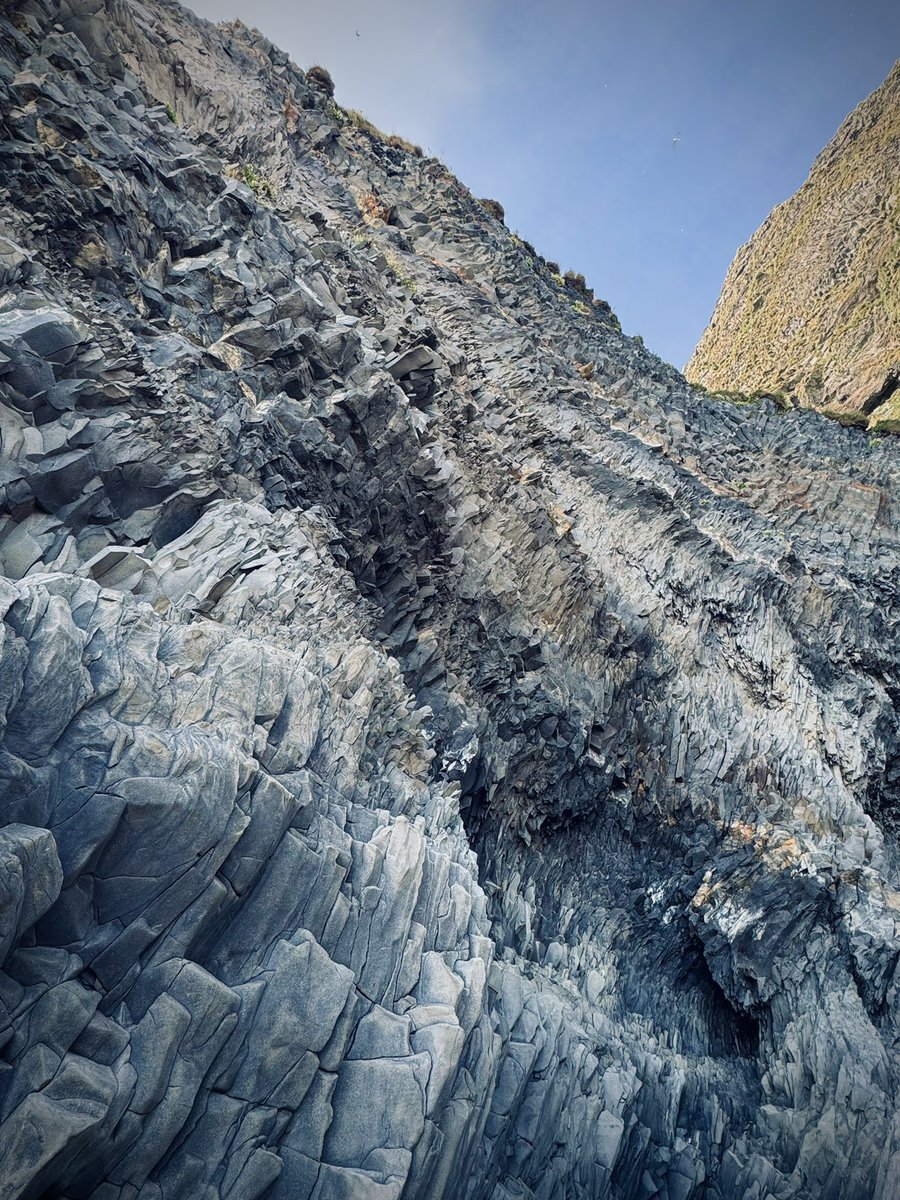 Nate Stephens tweet media