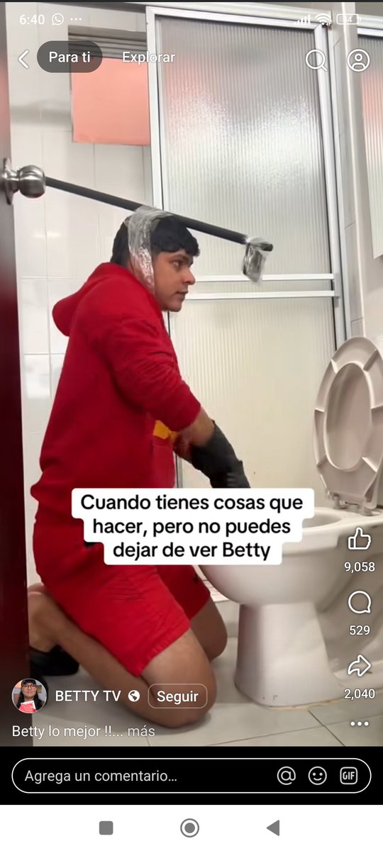 Pus así es cómo se hace el aseo, no?
