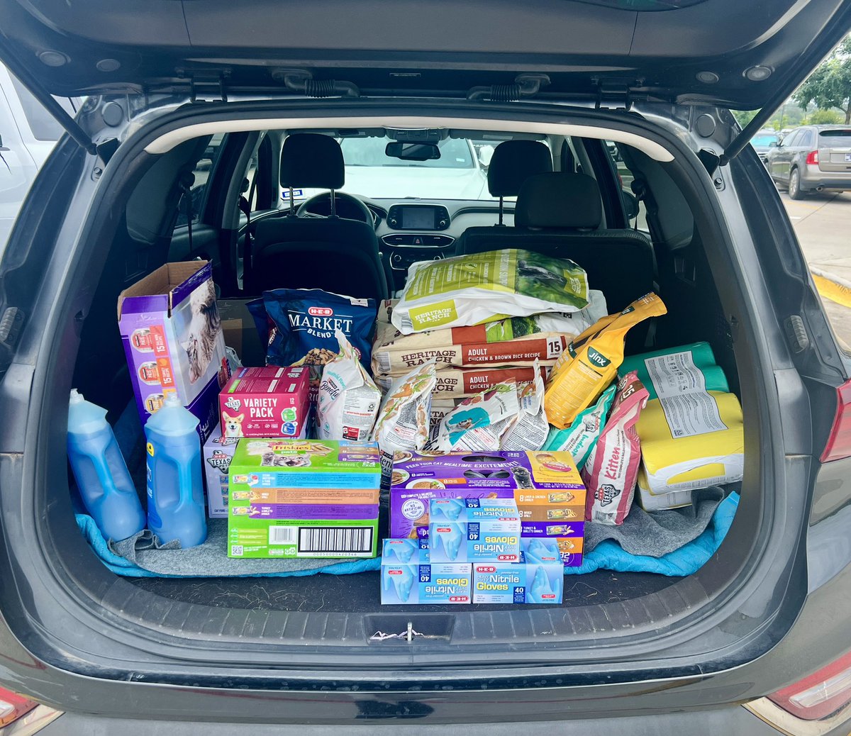 Thanks to all of you who donate, sub, show up to or just lurk in <a href="/roflgatorOW/">roflgator</a> stream, we were able to purchase almost 200 lbs of dog and cat food, plus cleaning supplies and donations to Williamson County Regional Animal Shelter (where we got Briar ❤️) and Austin Pets Alive!