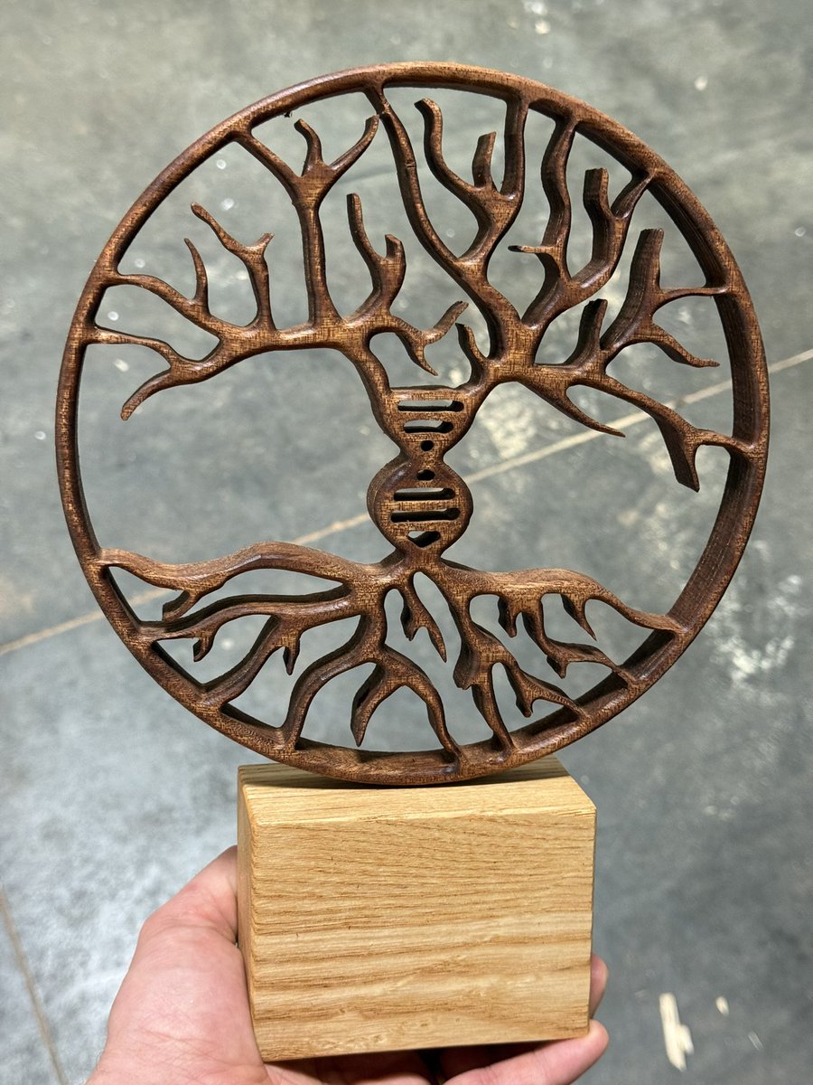Here is my take on the tree of life / neuron / DNA. I made it out of Sapele wood. The base is ash. #sciart