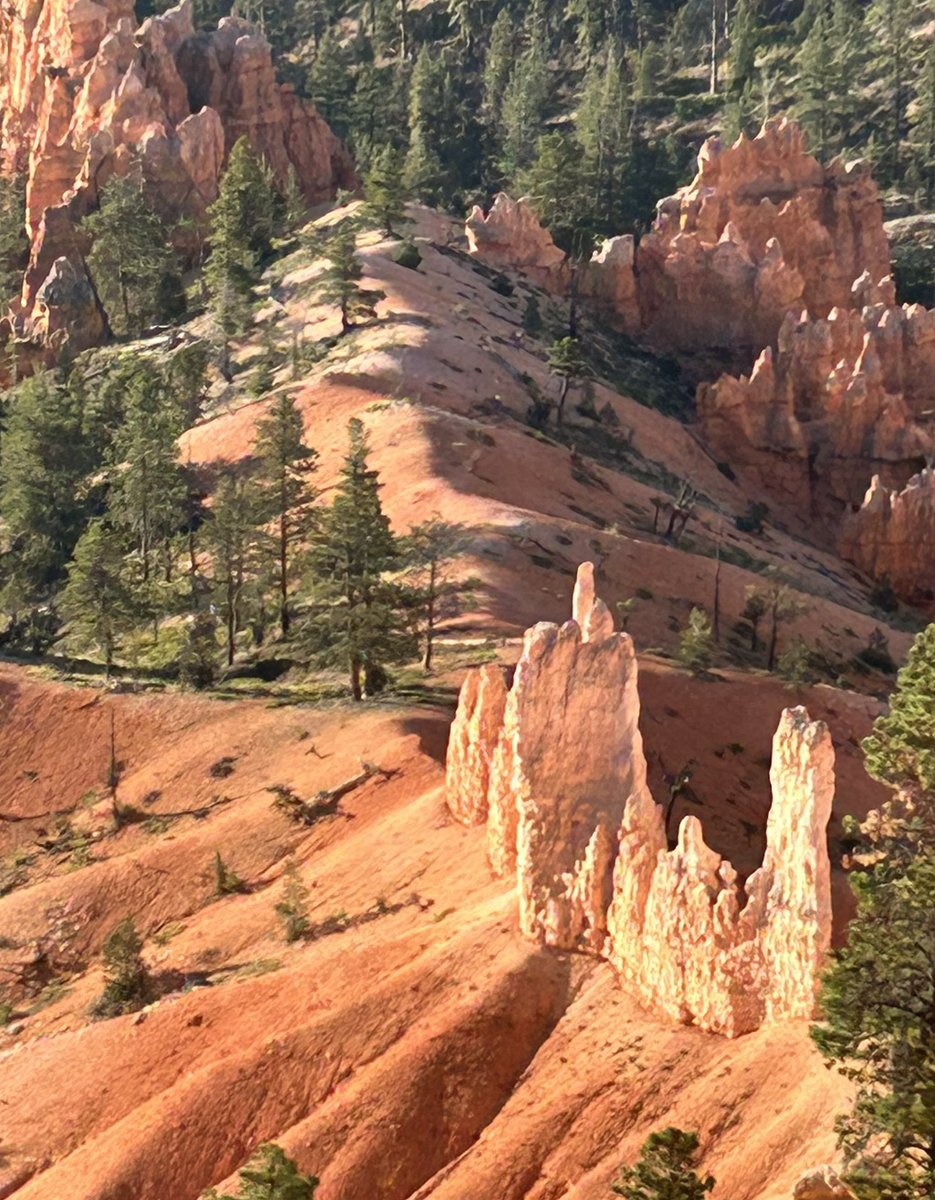 Wads1107's tweet photo. Bryce Canyon,UT https://t.co/I5JrjzucQB
