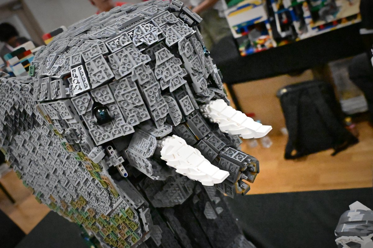 dpyukiqb's tweet image. ゾウさん、バラバラになっちゃったんですね。🥲
#LEGO  #レゴ #JBF2025