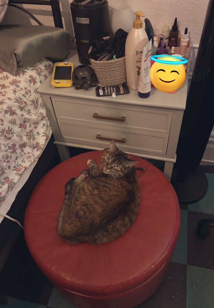 anyway, here’s chauncey!