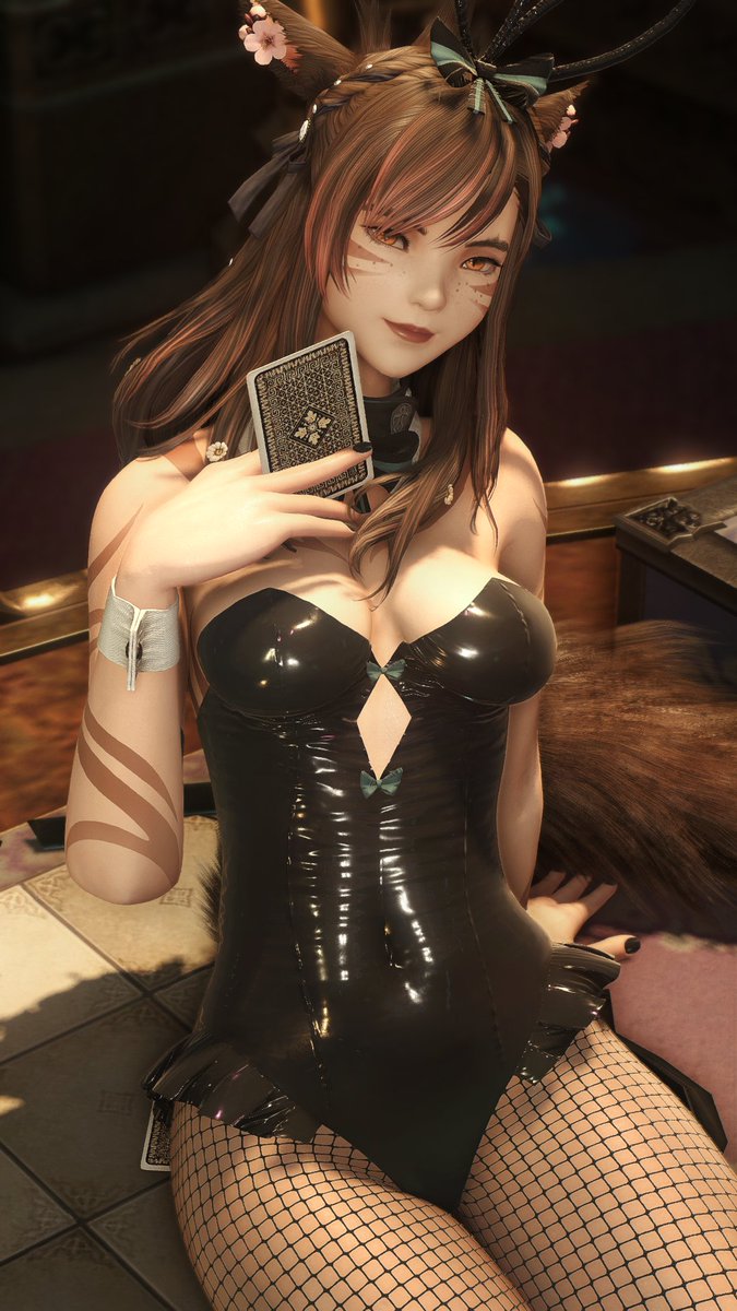 would you play balatro with this cat