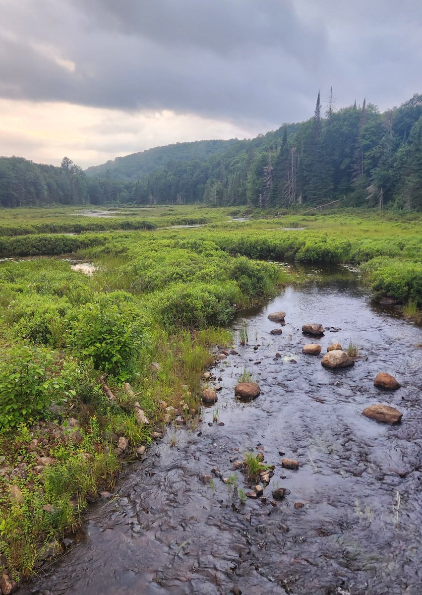 Jim Fischer tweet media