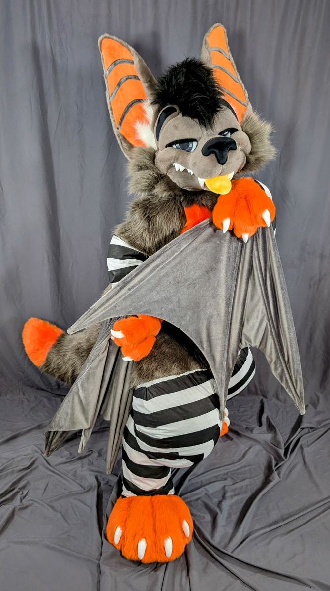 Yes, queen bat, slay~
*Flaps wing queerly*
Looking batastic~

(I'm so sorry for winging it with this post 😭
📸 - <a href="/MoreFurLess/">More Fur Less</a>