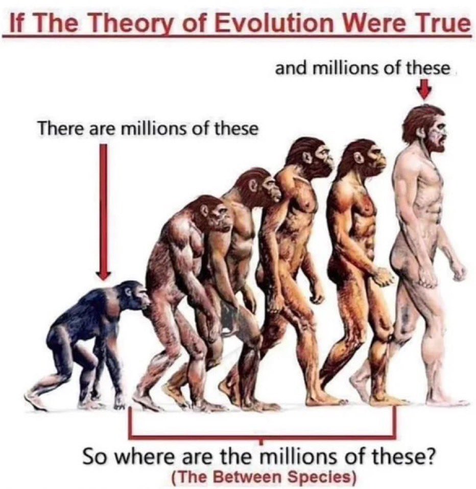Evolution - Another fake theory to hide our true creation. If I post a documentary debunking evolution would you be interested in watching it?🤔